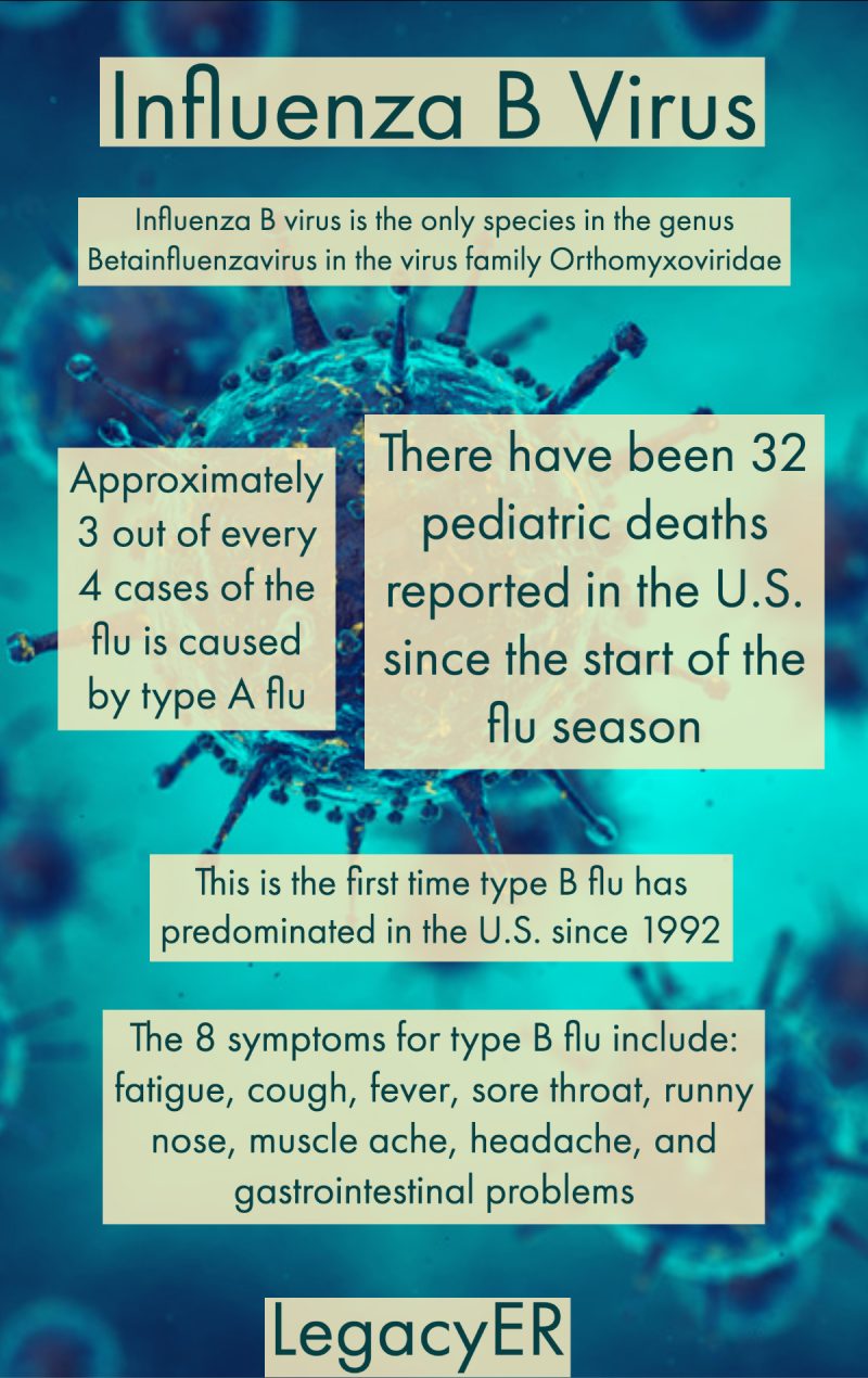 Understanding the Different Kinds of Flu Viruses